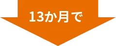 13か月で